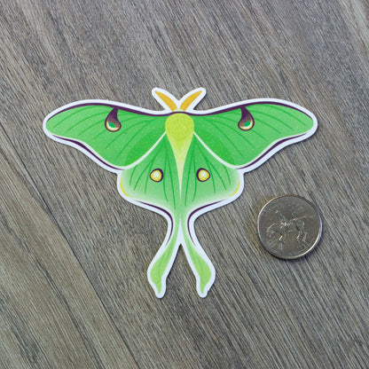 A vinyl sticker of a luna moth next to a USD quarter for scale.