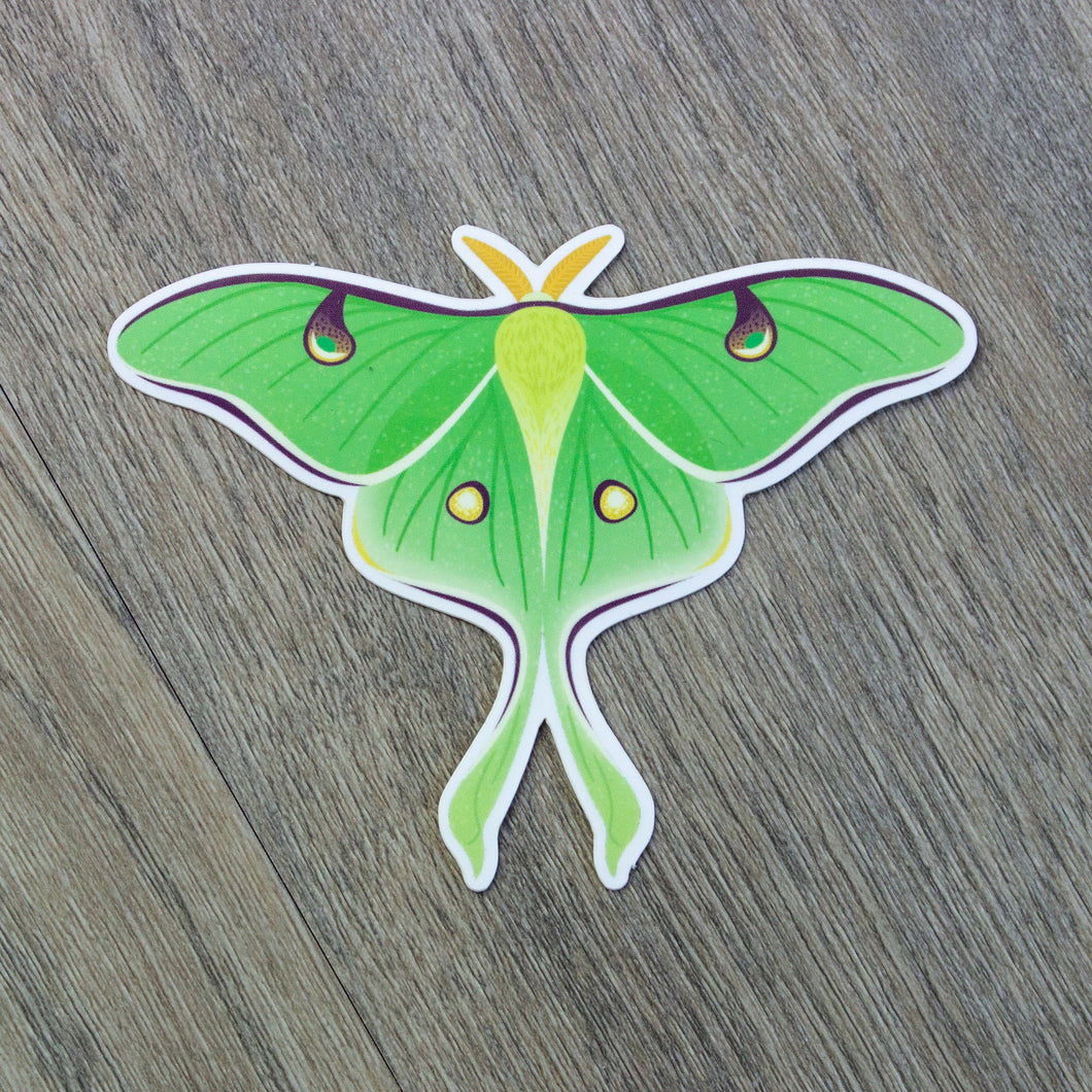 A vinyl sticker of a luna moth.