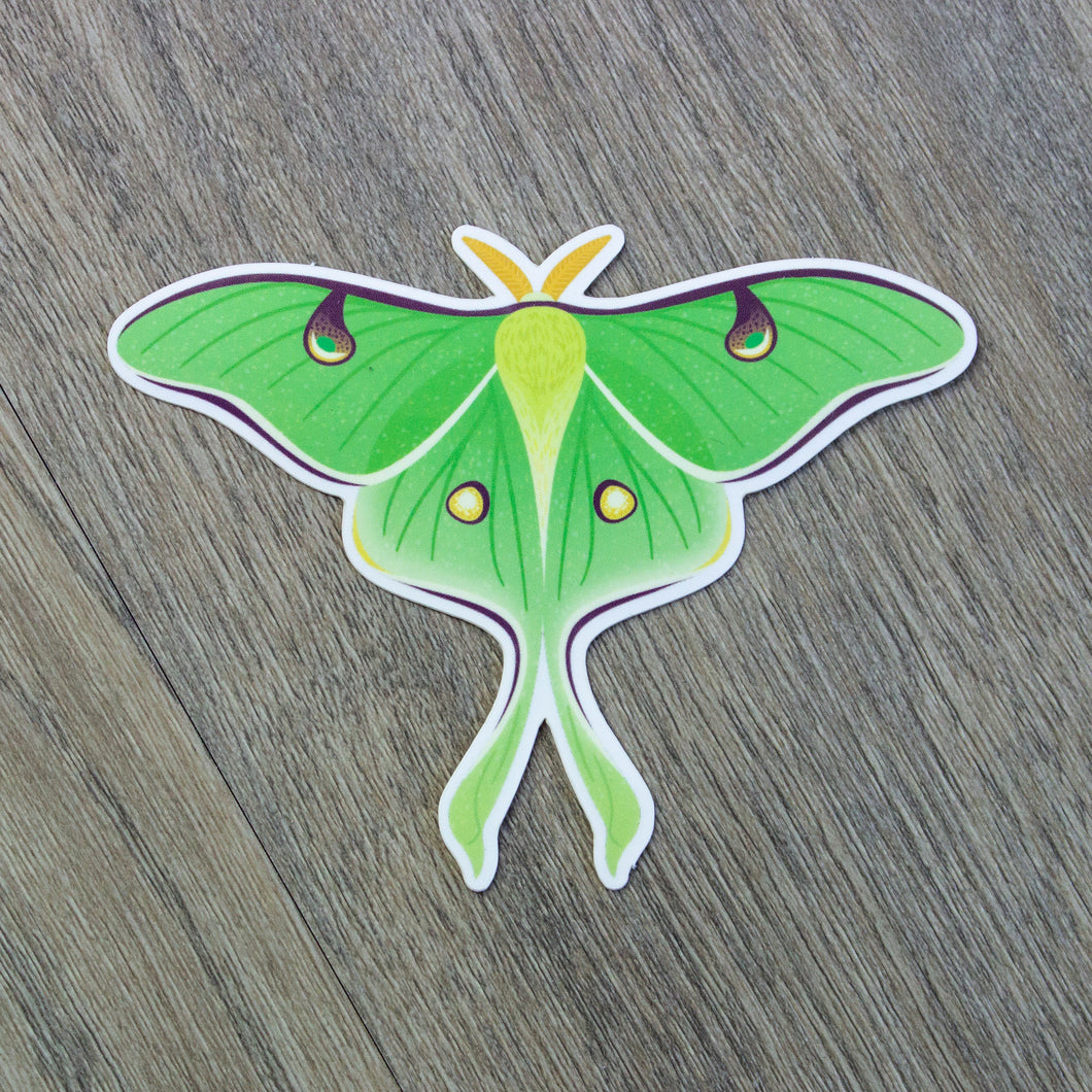 Luna Moth Ransom Note Luna Moth