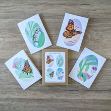 Load image into Gallery viewer, The monarch butterfly card set showing the four different butterfly, caterpillar and chrysalis designs that are included.