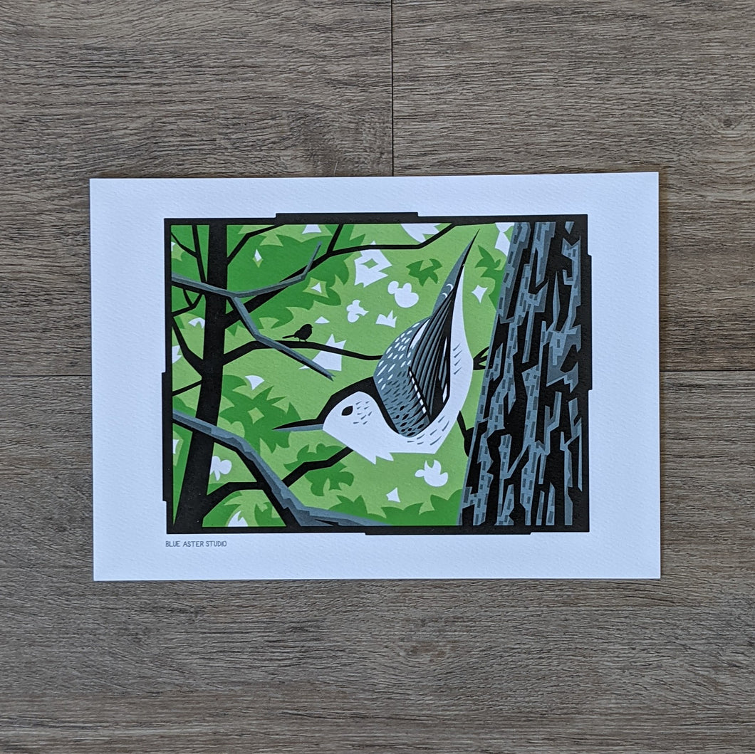 A 5x7 art print of a nuthatch perched on the side of a tree.