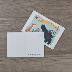 A stack of wildlife postcards with one flipped to show the back detail of the message area, address area and the Blue Aster Studio logo.