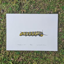 Load image into Gallery viewer, An original screen print of a chubby fifth instar monarch caterpillar.