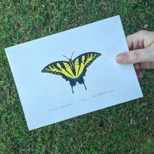 Load image into Gallery viewer, A hand holding a screen print of a tiger swallowtail butterfly to show scale.