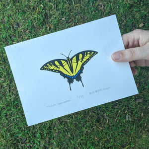 A hand holding a screen print of a tiger swallowtail butterfly to show scale.