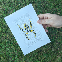 Load image into Gallery viewer, A hand holding a screen print of an orbweaver spider to show scale.