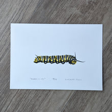 Load image into Gallery viewer, A screen print of a monarch caterpillar printed in two colors of yellow and black.