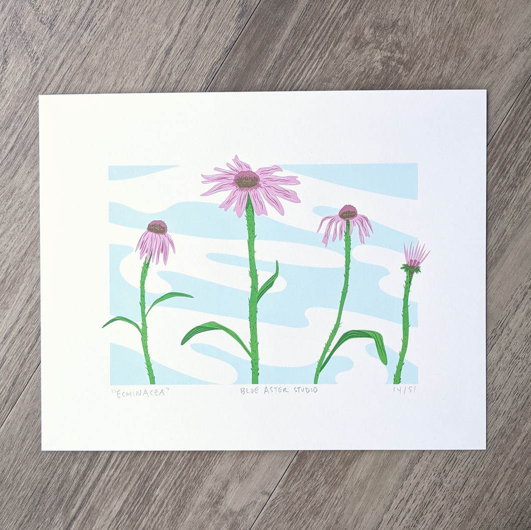 An original screen print of four coneflowers in different stages of bloom against a sky blue background.