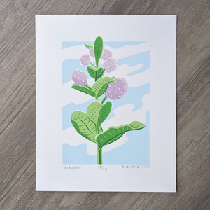 An original screen print of a common milkweed plant in full bloom. Printed in six colors (three shades of green, blue, and two shades of pink)