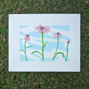 A screen print of four echinacea flowers against a sky blue background.