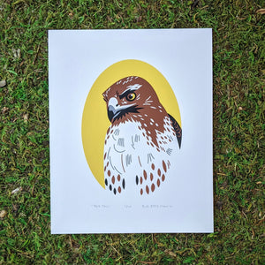 A red-tailed hawk portrait screen printed in four colors.