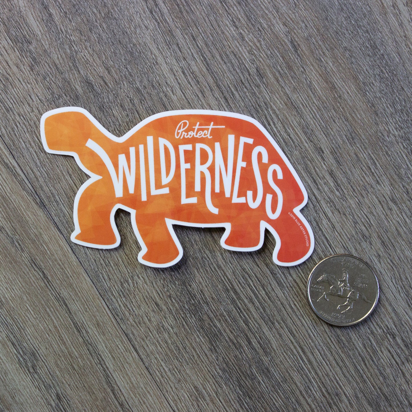 The Protect Wilderness Tortoise sticker sitting next to a USD quarter to show scale.