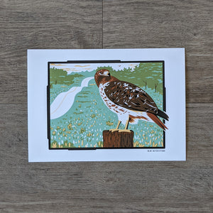 An art print of an illustration of a red-tailed hawk. The hawk is perched on a post along a roadside.