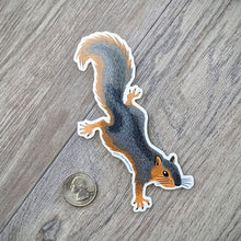 Load image into Gallery viewer, A squirrel illustration sticker with a USD quarter next to it for scale.