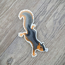 Load image into Gallery viewer, A die-cut vinyl squirrel sticker.
