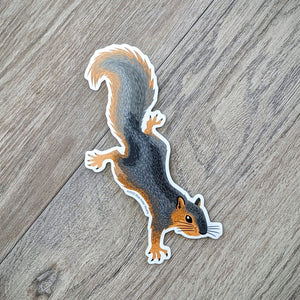 A die-cut vinyl squirrel sticker.