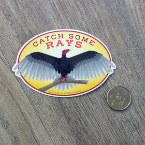 The Catch Some Rays turkey vulture sticker sitting next to a USD quarter for scale.