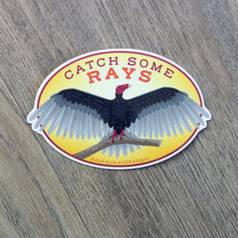 Load image into Gallery viewer, An oval vinyl sticker of an illustration of a turkey vulture with the words &quot;Catch Some Rays&quot; 
