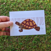Load image into Gallery viewer, Hand holding a box turtle card.