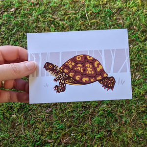 Hand holding a box turtle card.