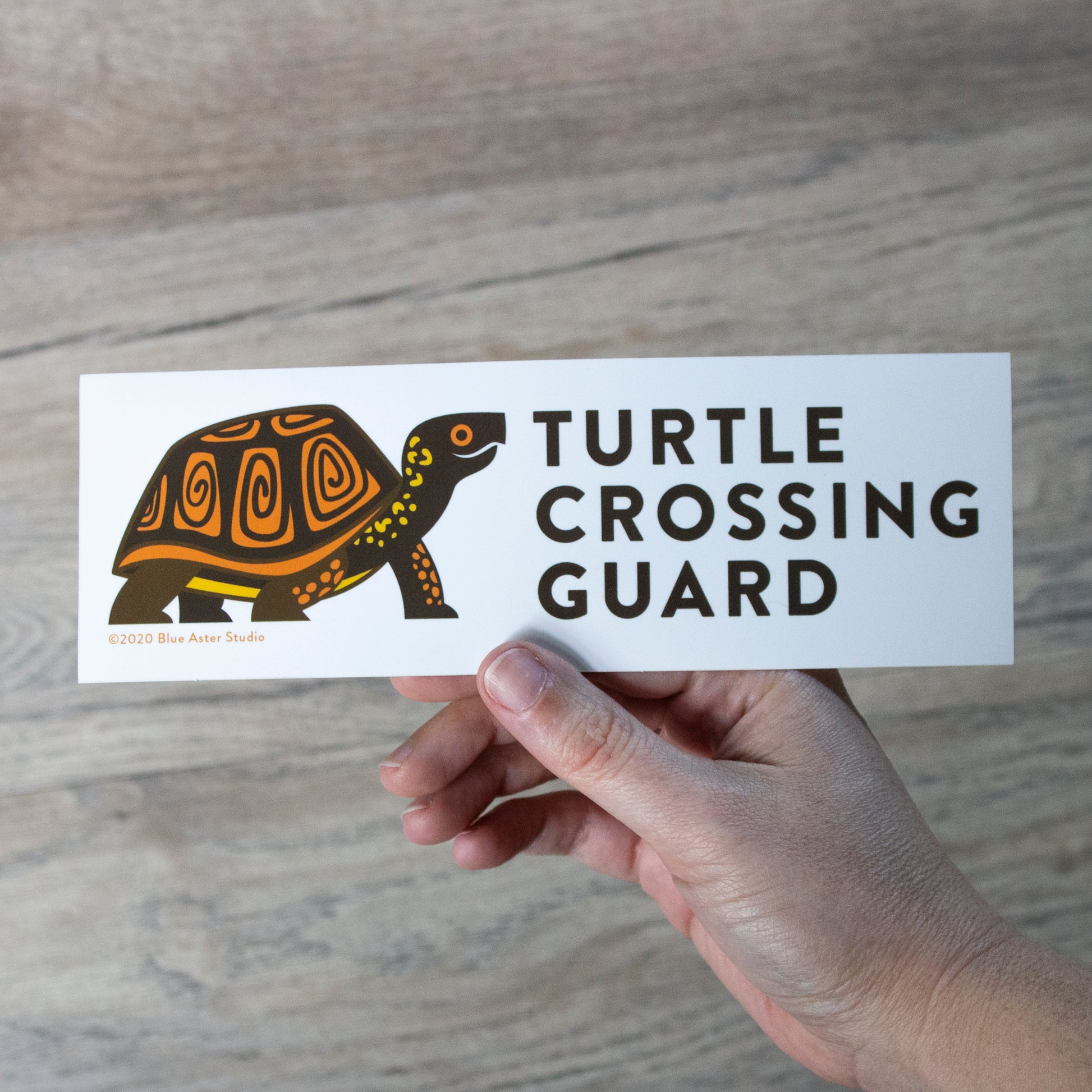 A hand holding the bumper sticker with the illustration of a box turtle and the words "Turtle Crossing Guard"