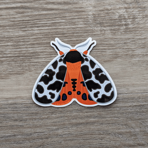 A vinyl sticker of an illustration of a garden tiger moth.