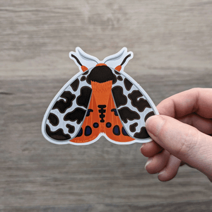 A hand holding the garden tiger moth vinyl sticker.