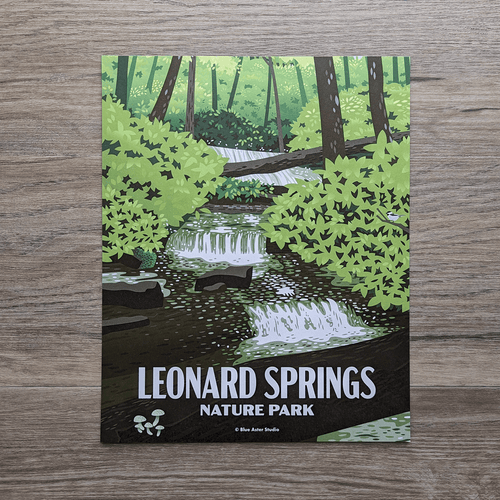 An art print featuring an illustration of the falls at Leonard Springs Nature Park. The falls in the illustration are surrounded by spring greenery with a few fallen trees across the water. There are some songbirds hidden in the shrubs around the water as well.