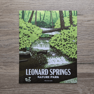 An art print featuring an illustration of the falls at Leonard Springs Nature Park. The falls in the illustration are surrounded by spring greenery with a few fallen trees across the water. There are some songbirds hidden in the shrubs around the water as well.