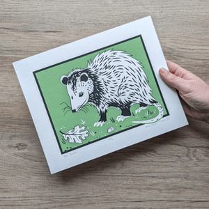 A hand holds a screen printed art on 8x10 paper. An opossum stands against a green background with an oak leaf and acorn lying near it.