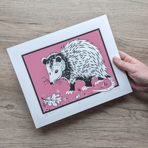 A hand holds a screen printed art on 8x10 paper. An opossum stands against a pink background with an oak leaf and acorn lying near it.