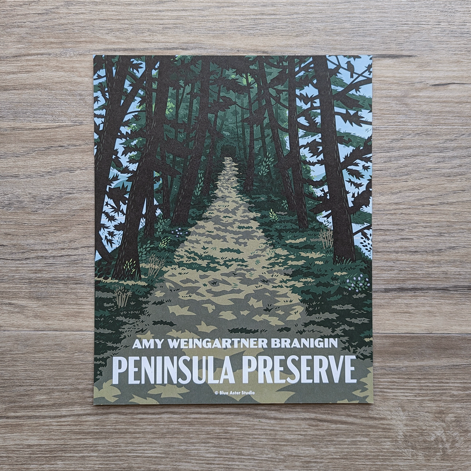 Amy Weingartner Branigin Peninsula Preserve Art Print