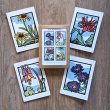 Load image into Gallery viewer, A set of four wildflower note cards featuring rudbeckia, bee balm, columbine, and new england aster displayed around a package.